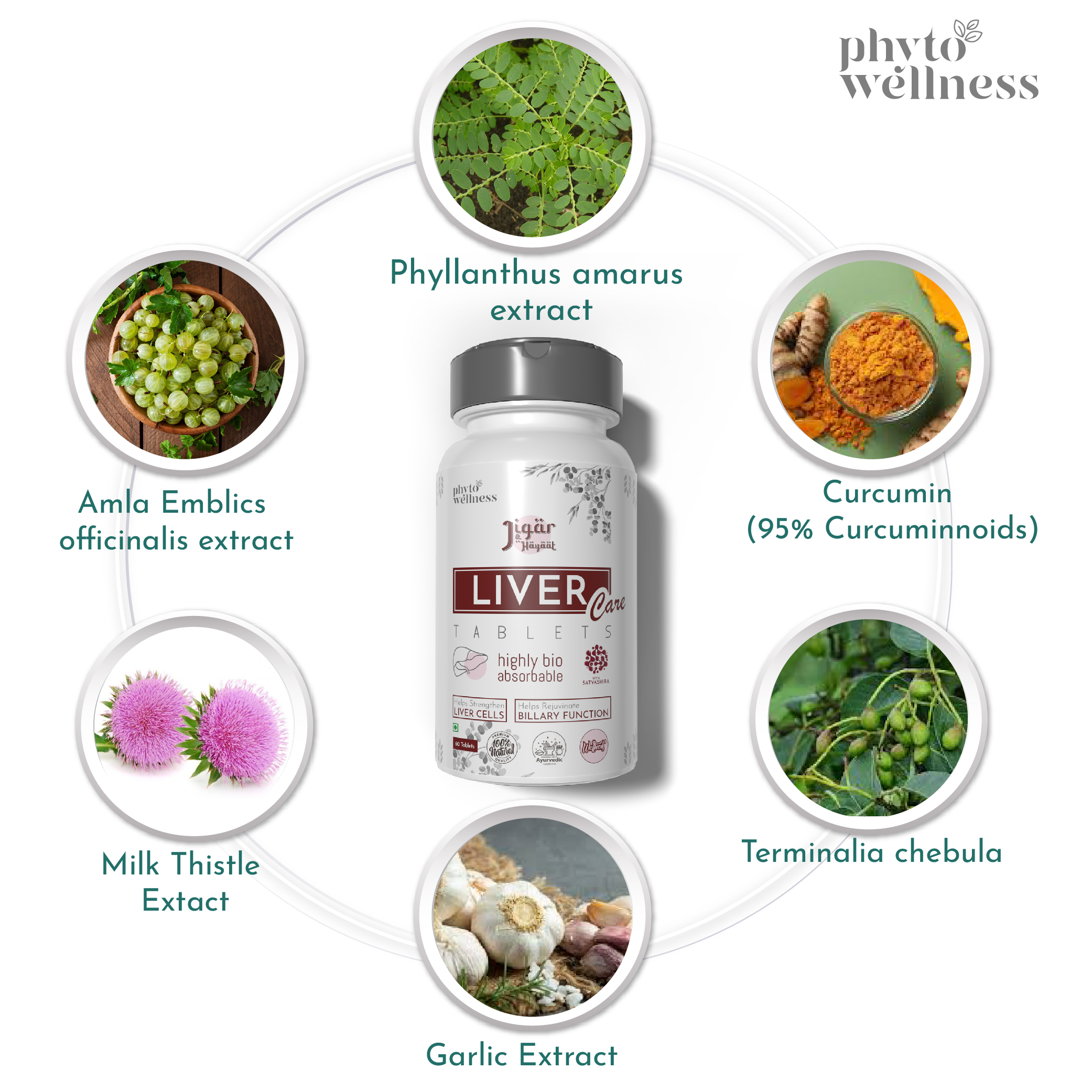 Probiotic Liver Care  60 Tablets (HS00615)